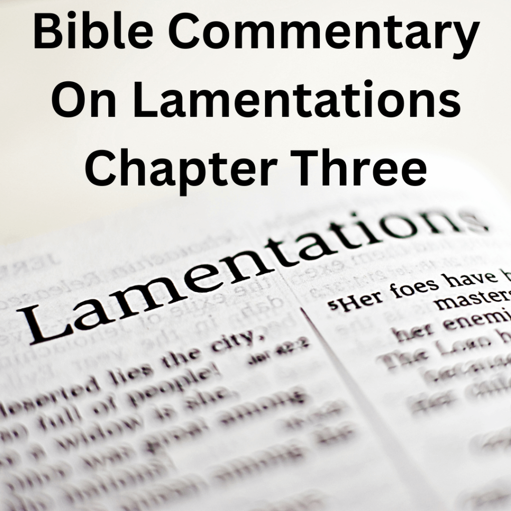 Bible Commentary On Lamentations Chapter Three BF Blog