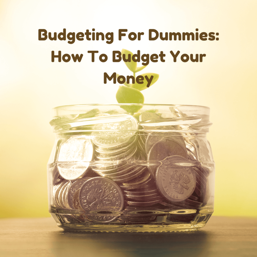 Budgeting For Dummies BF Blog